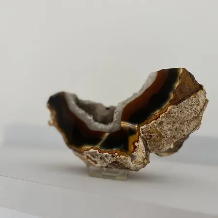 Premium Fewo - Blick Auf Felsenkirche & Schloss - Traveller Award 2024 Lägenhet