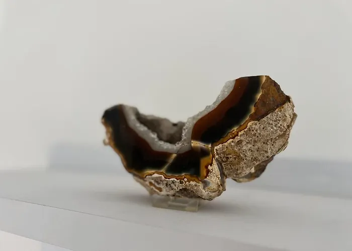 Premium Fewo - Blick Auf Felsenkirche & Schloss - Traveller Award 2024 Apartamento